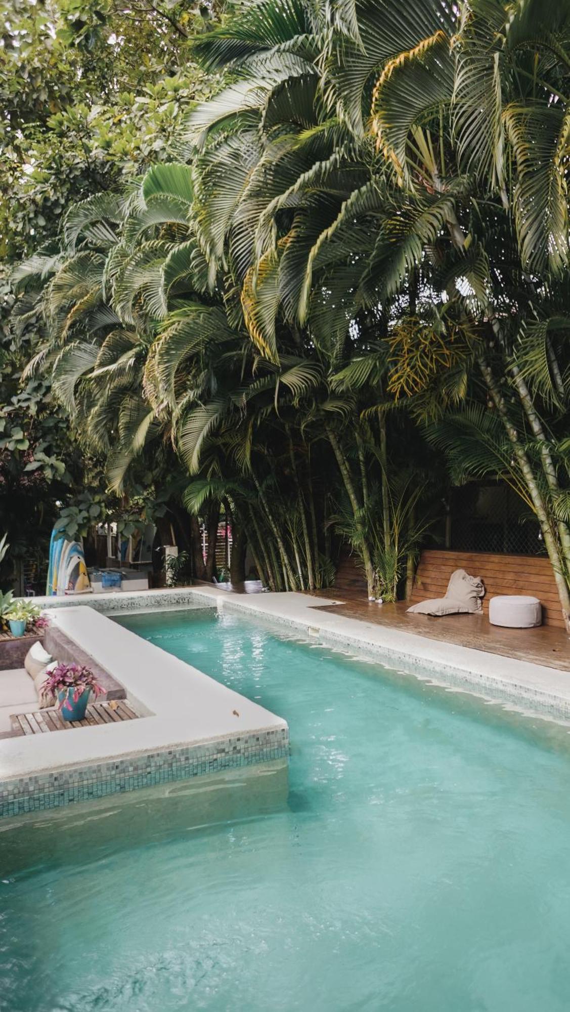 Griss Lodge & Spa Playa Santa Teresa  Ngoại thất bức ảnh